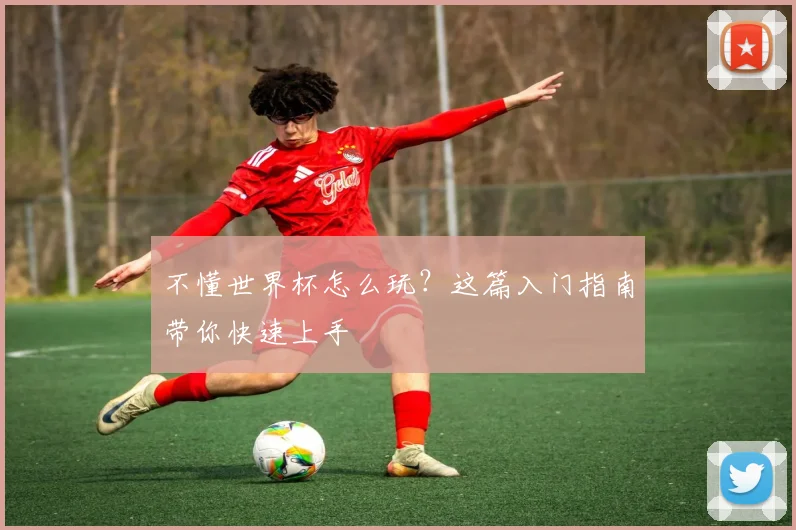 不懂世界杯怎么玩？这篇入门指南带你快速上手